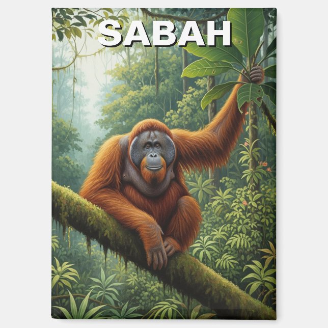 Aimant Voyage Sabah Malaisie Orang-outan (Recto)