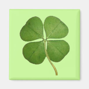 Aimant Vrai Shamrock de fermeture à 4 feuilles