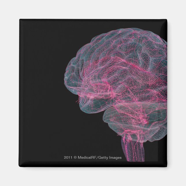Aimant Vue arrière du cerveau humain (Devant)