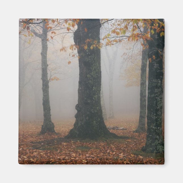 Aimant Vue automnale d'une forêt brumeuse, Grandfather 2 (Devant)