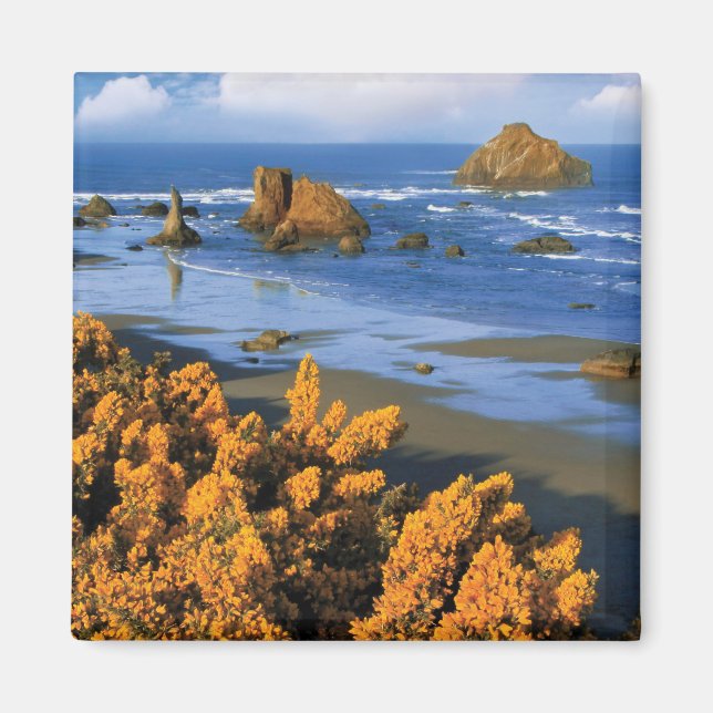 Aimant Vue de la plage de l'Oregon à Bandon (Devant)