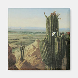 Aimant Vue depuis le mont Maricopa près de Rio Gila par P