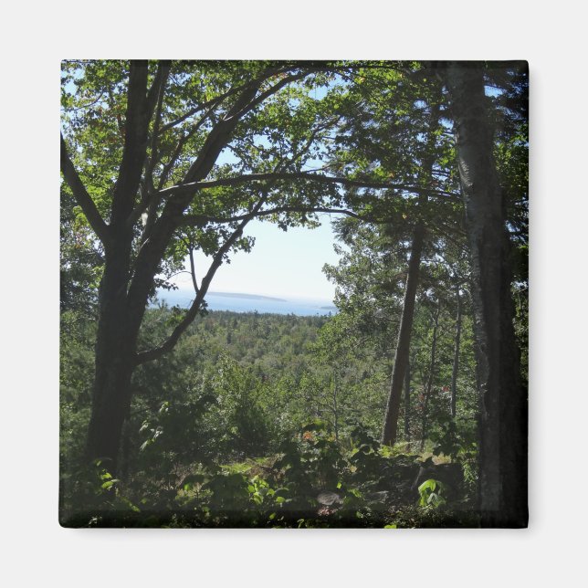 Aimant Vue estivale dans le parc national d'Acadia (Devant)