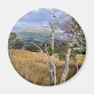 AIMANT VUES DES ALLES