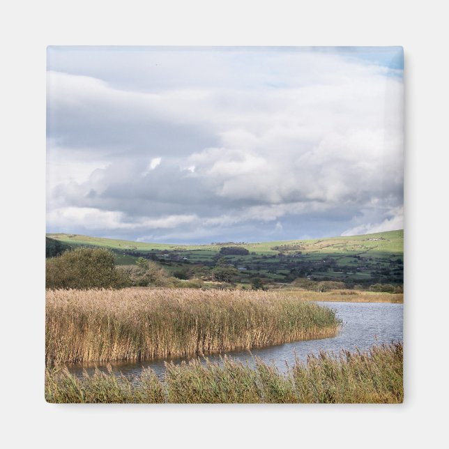 AIMANT VUES DES ALLES (Devant)