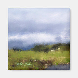 AIMANT VUES DES ALLES