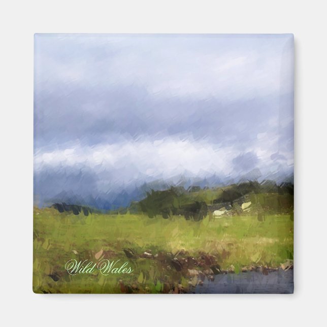 AIMANT VUES DES ALLES (Devant)