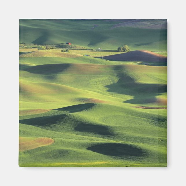 Aimant WA, comté de Whitman, terres agricoles de Palouse, (Devant)