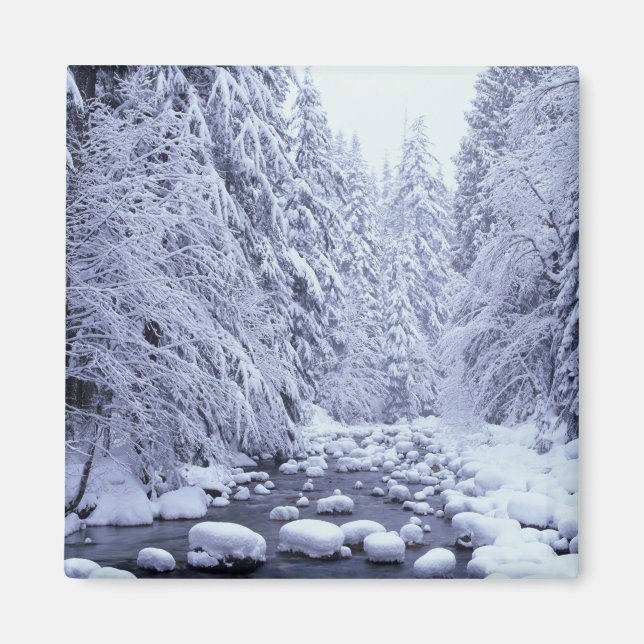 Aimant WA, forêt nationale du Mont Baker-Snoqualmie, (Devant)