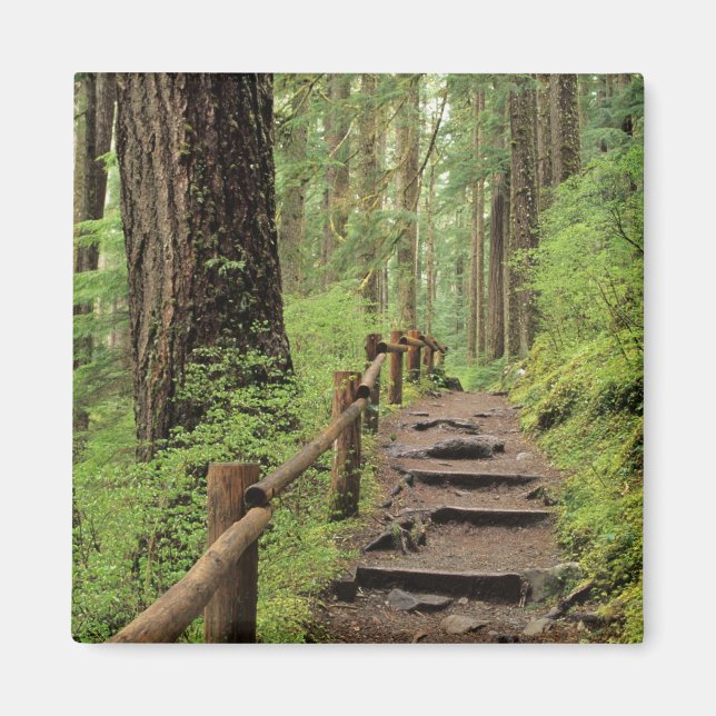 Aimant WA, parc national Olympique, vallée de Sol Duc, fo (Devant)