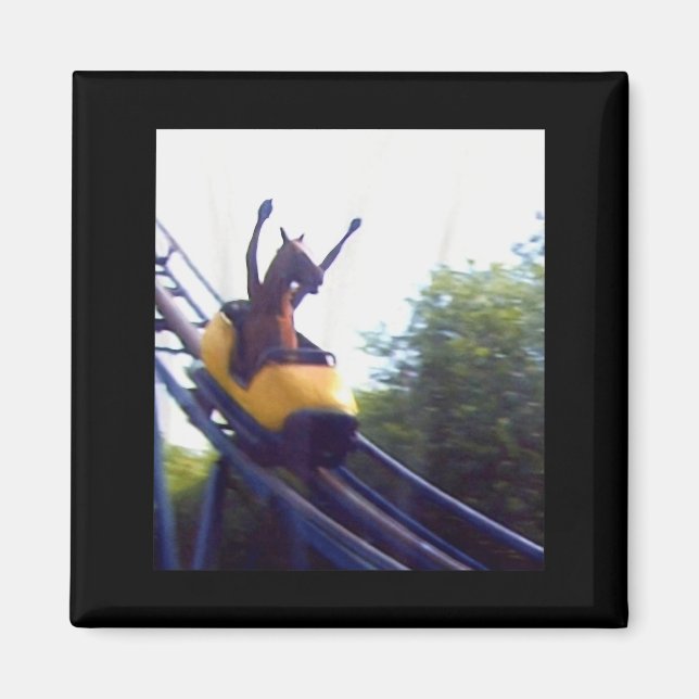 Aimant Wacky Horse Riding Roller Coaster Meme Internet Fu (Devant)
