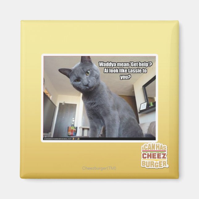 Aimant Wadya veut dire "Obtenez de l'aide" ? (Devant)