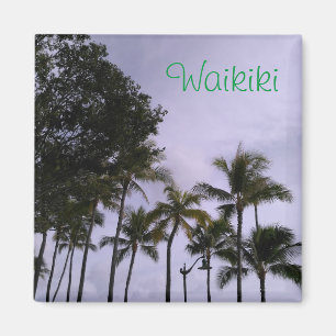 aimant Waikiki