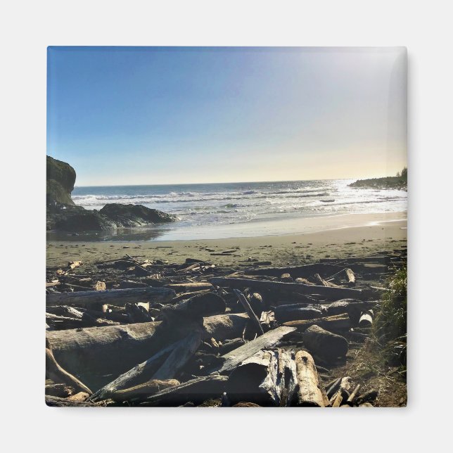 Aimant Waikiki Beach, cape Disappointment, Washington (Devant)