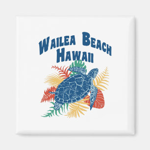 Aimant Wailea Beach Maui Hawaii Hawaii Iles Hawaii
