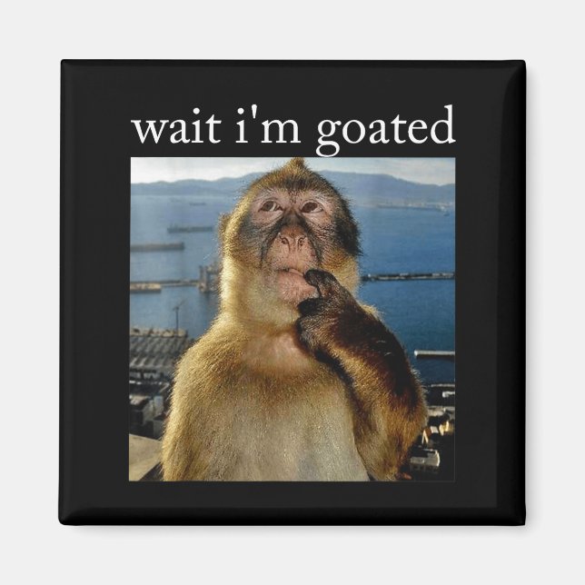 Aimant Wait I'm Goated Funny Thinking Monkey Meme Brainro (Devant)