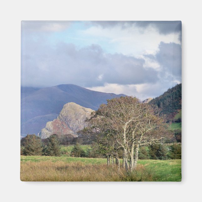 AIMANT WALES (Devant)