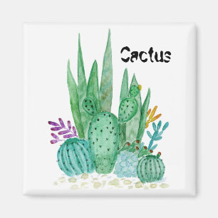 Aimant Watercolor , cactus , succulents