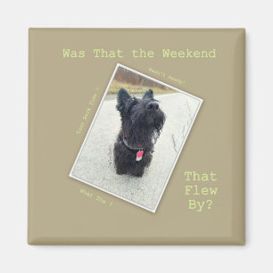 Aimant Week-end ... Quel week-end ?