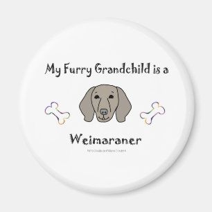 Aimant Weimaraner