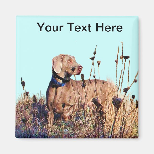 Aimant Weimaraner À La Récupération (Devant)