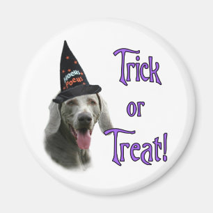 Aimant Weimaraner Trick