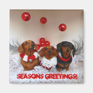 Aimant Weiner Dog Christmas, "Joyeuses Fêtes !"