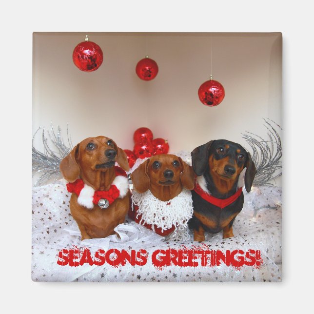 Aimant Weiner Dog Christmas, "Joyeuses Fêtes !" (Devant)