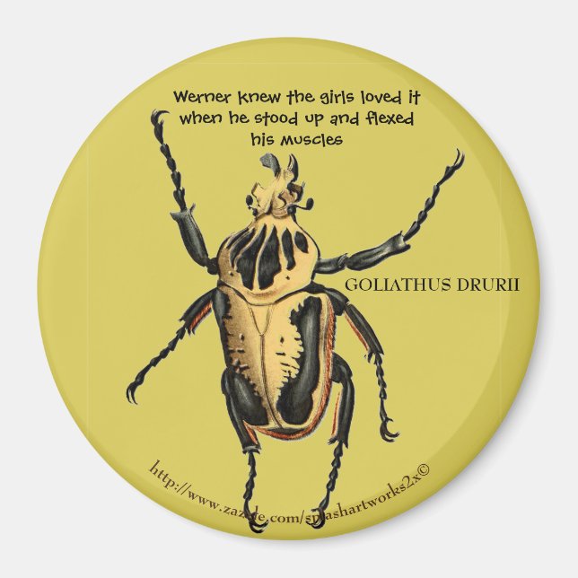 Aimant "Werner a fléchi ses muscles pour les filles" (Devant)