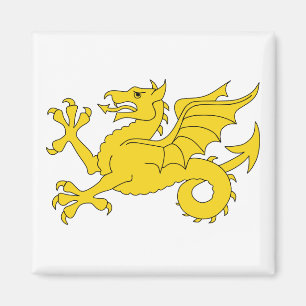 Aimant Wessex Dragon