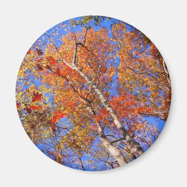 Aimant West Mt. Autumn Hot Springs National Park Cadfts (Devant)