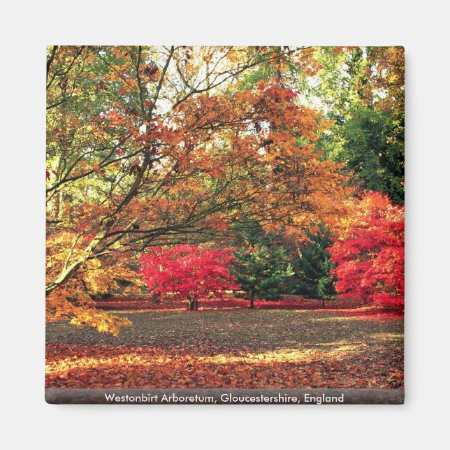 Aimant Westonbirt Arboretum, Gloucestershire, Angleterre (Devant)