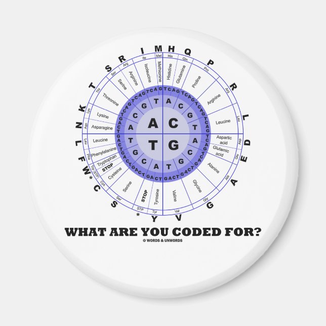 Aimant What Are You Coded For ? (Amino Acid Wheel) (Devant)