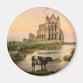 Aimant Whitby Abbey III, Whitby, Yorkshire, Angleterre