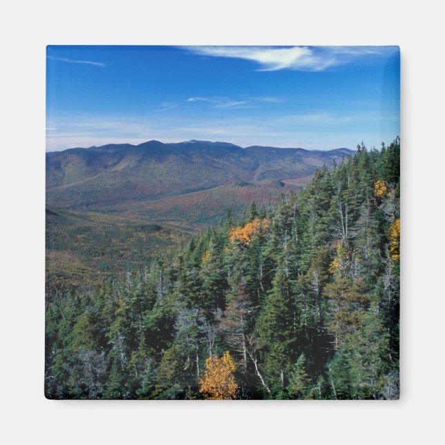Aimant White Mountain N.F., NH. La vue de près (Devant)