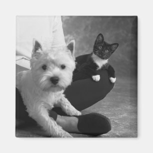 Aimant White Terrier et Chat Partagez l'amour