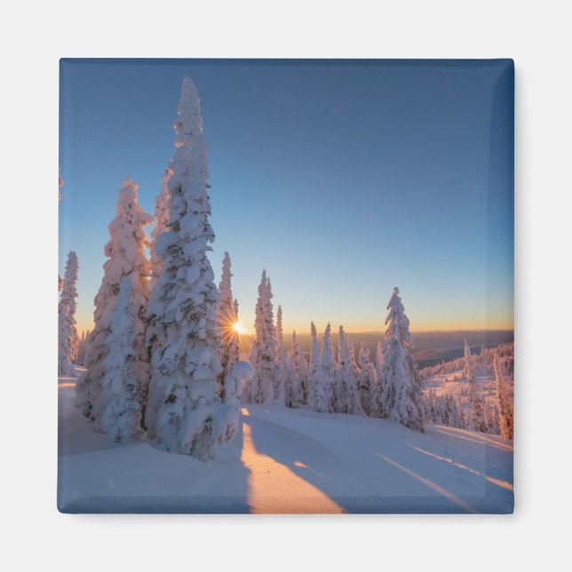Aimant Whitefish, Montana (Devant)