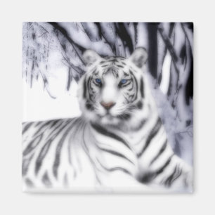 Aimant WhiteTiger