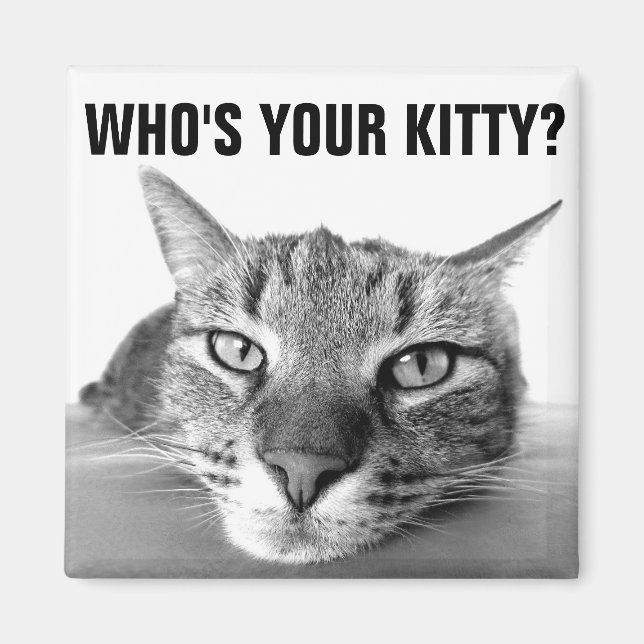 Aimant Who''s your kitty? Magnets, Tabby (Devant)