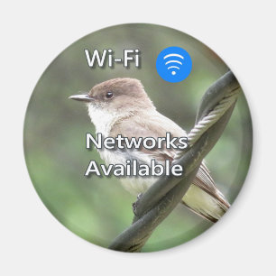 aimant Wi-Fi Phoebe oriental