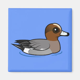Aimant Wigeon eurasien Birdable