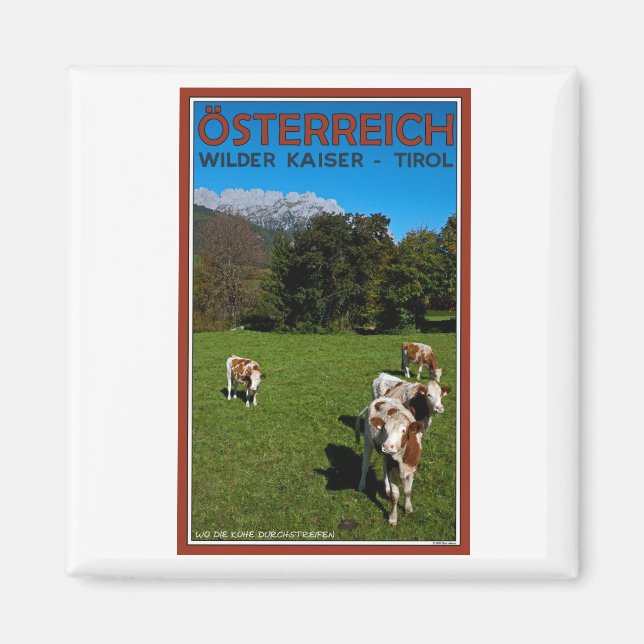 Aimant Wilder Kaiser - Vaches (Devant)