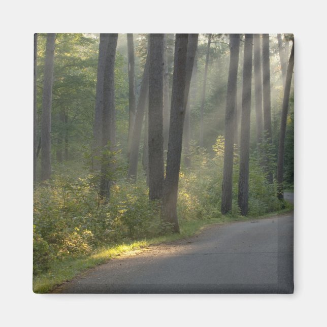 Aimant Wilderness Drive, Parc d'État d'Itasca, (Devant)