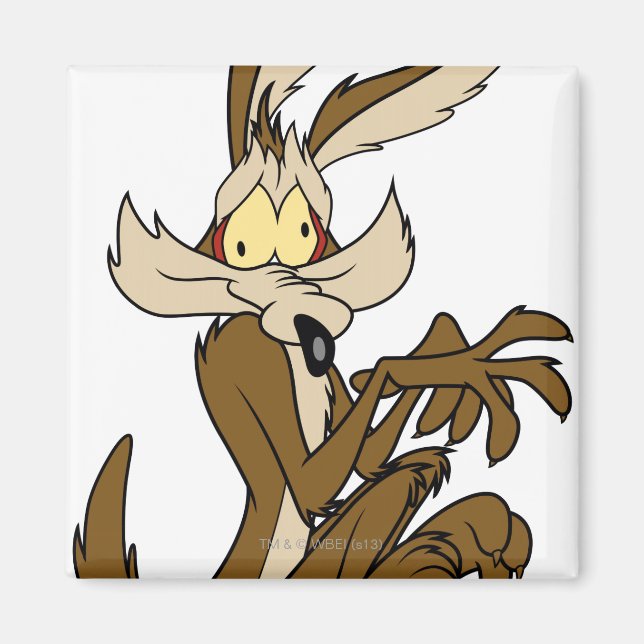Aimant Wile E. Coyote Derp (Devant)