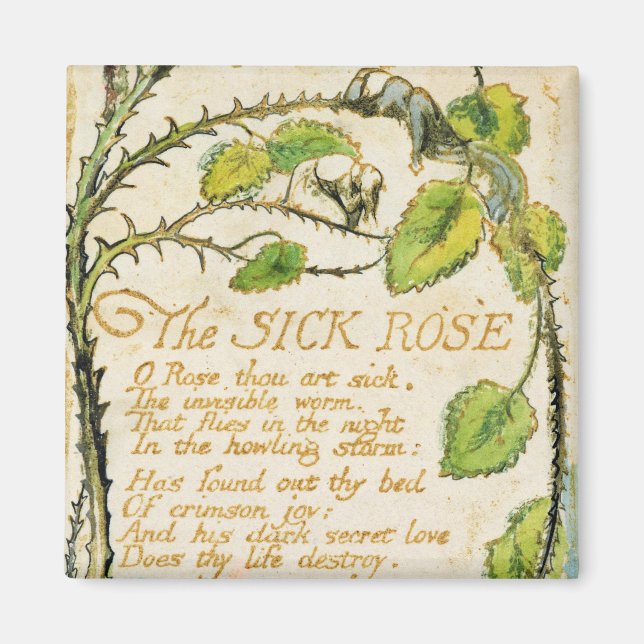 Aimant William Blake | Le Rose malade, des chansons d'Inn (Devant)