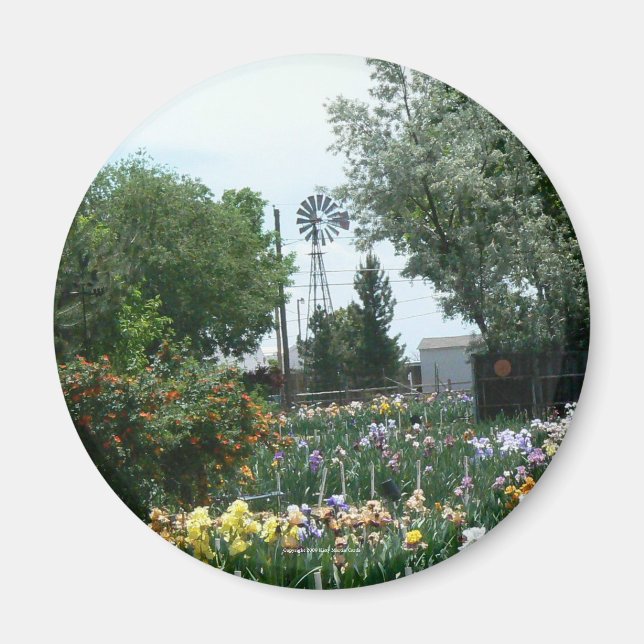 Aimant Windmill & Iris Field (Devant)