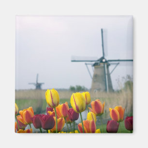 Aimant Windmills et tulipes le long du canal à