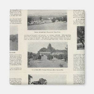 Aimant Windsor, Californie