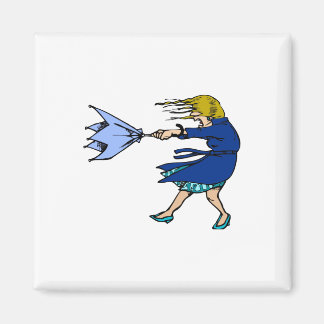 Aimant Windy (homonymie)