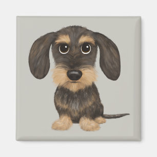 Aimant Wirehaired Dachshund   Cute Cartoon Dog Teckel